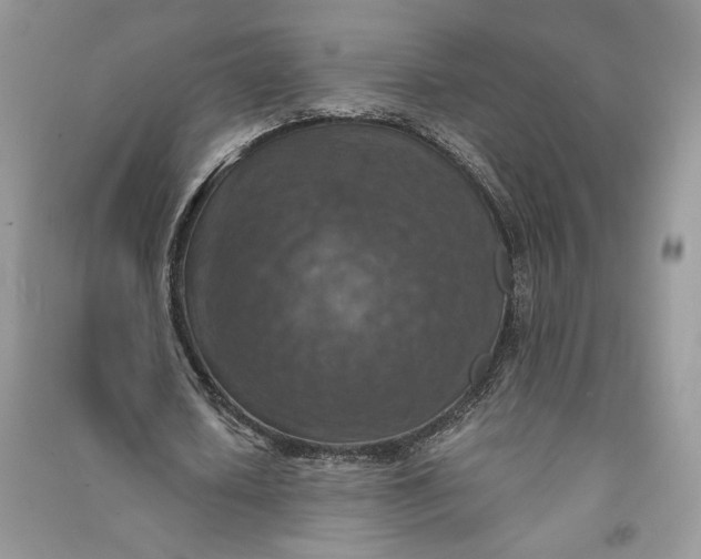 X0000090700626200708101442