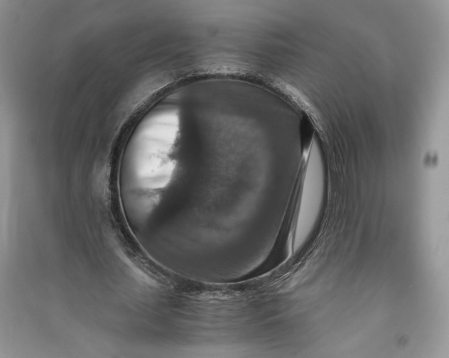 X0000090700627200708101442