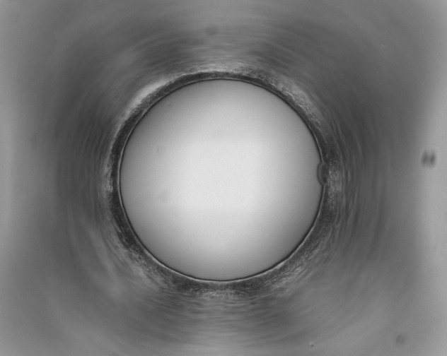 X0000090700628200708101442