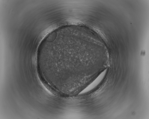 X0000090700630200708101442