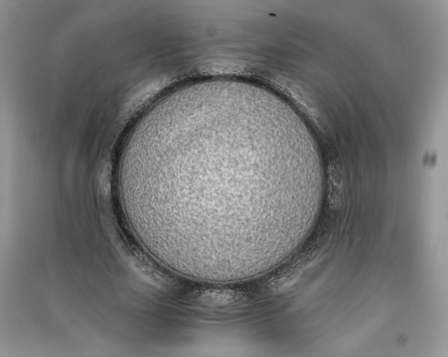 X0000090700631200708101442