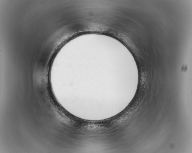 X0000090700632200708101442