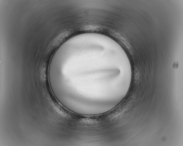 X0000090700633200708101442