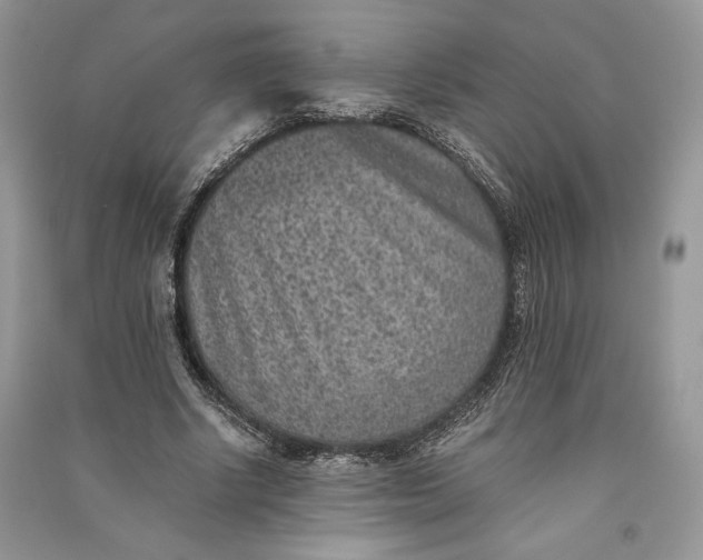 X0000090700634200708101442