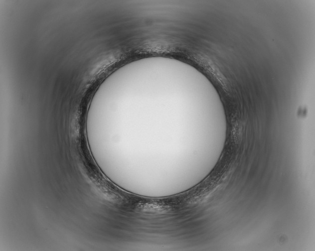 X0000090700635200708101442