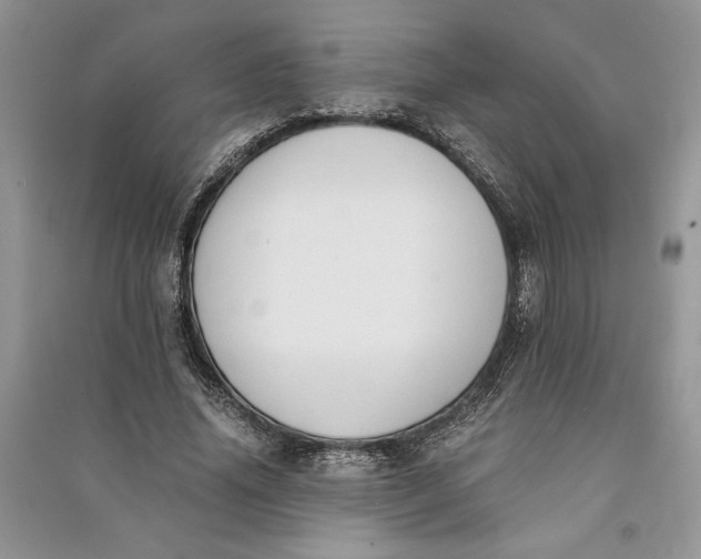 X0000090700636200708101442