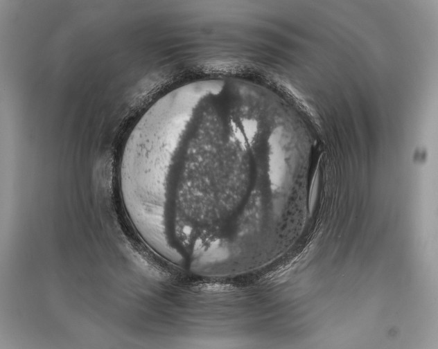 X0000090700637200708101442