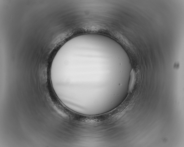 X0000090700638200708101442