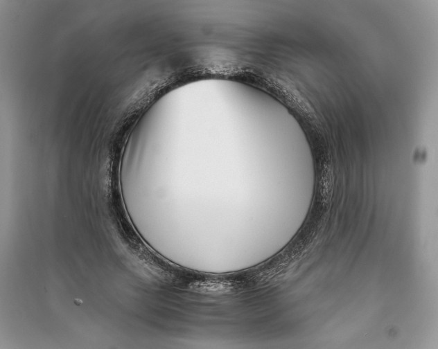 X0000090700639200708101442
