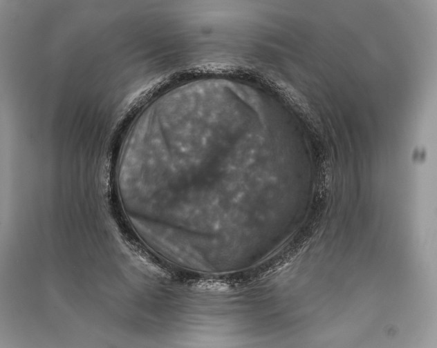X0000090700640200708101443