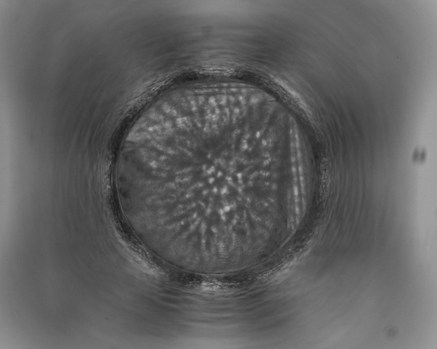 X0000090700641200708101443