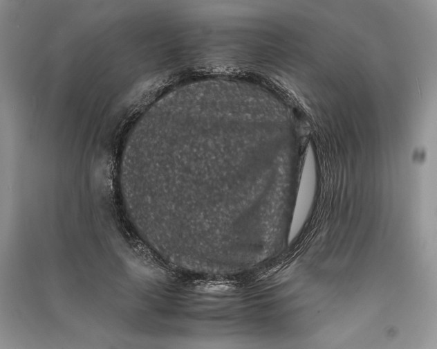 X0000090700643200708101443