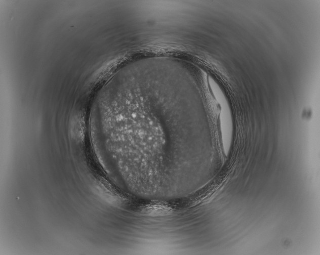 X0000090700644200708101443