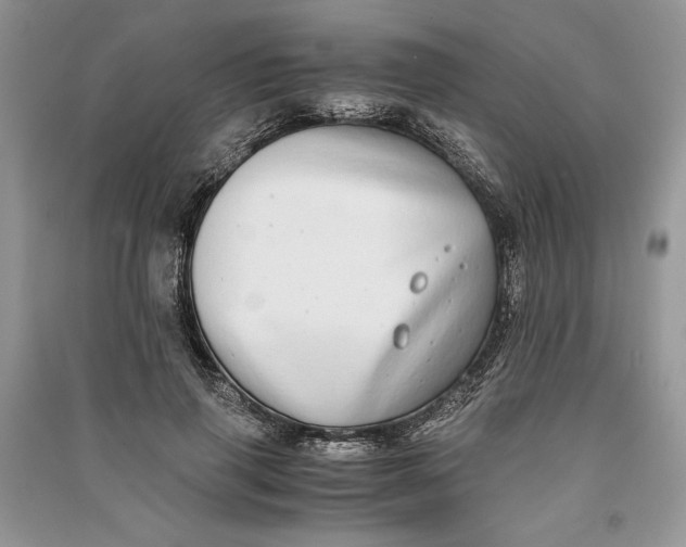 X0000090700645200708101443