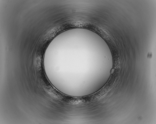 X0000090700646200708101443