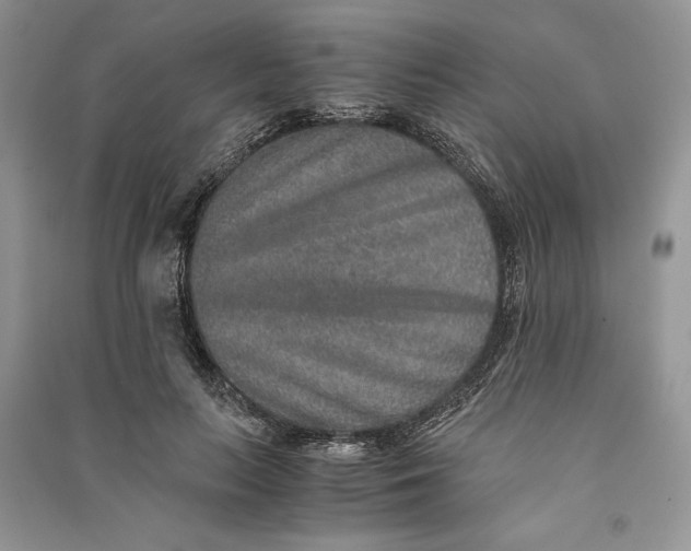 X0000090700647200708101443