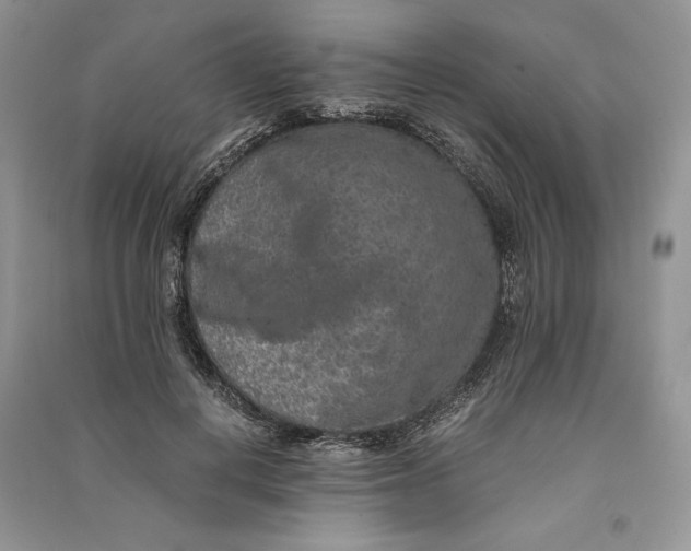 X0000090700648200708101443