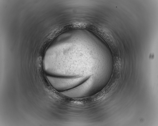 X0000090700649200708101443