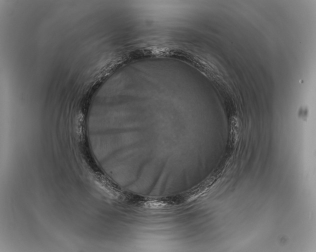 X0000090700650200708101443
