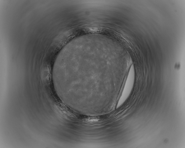X0000090700651200708101443