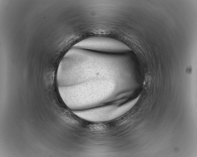 X0000090700652200708101443