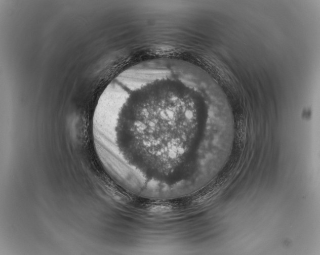X0000090700653200708101443
