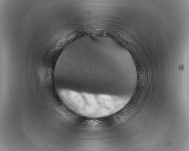 X0000090700654200708101443