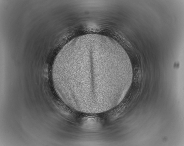 X0000090700655200708101443