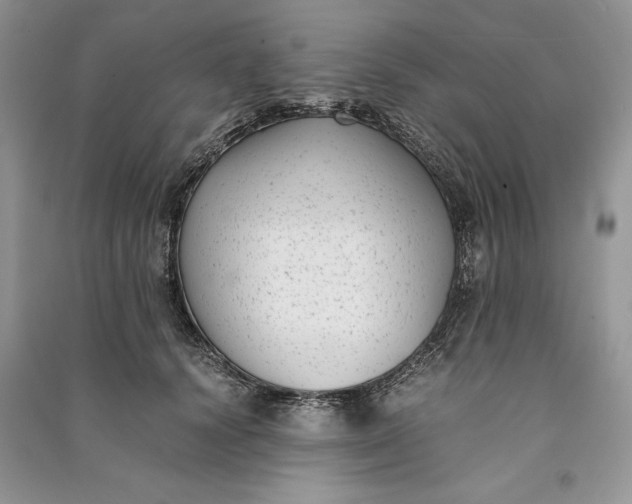 X0000090700656200708101443