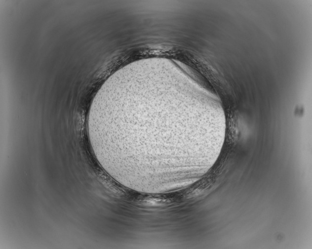 X0000090700657200708101443