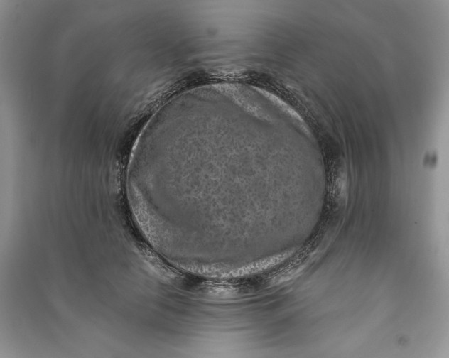 X0000090700658200708101443
