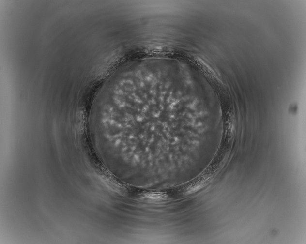 X0000090700659200708101443
