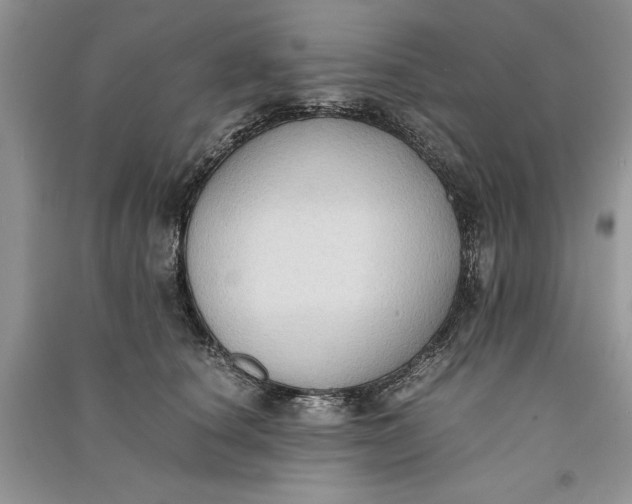 X0000090700660200708101443
