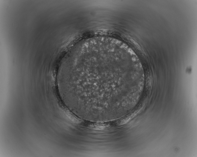 X0000090700661200708101443