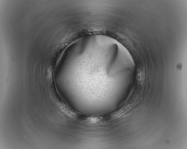 X0000090700662200708101443