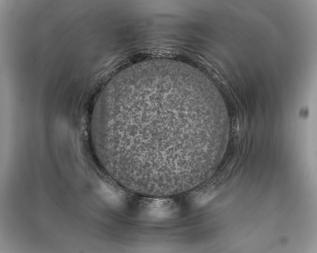 X0000090700663200708101443