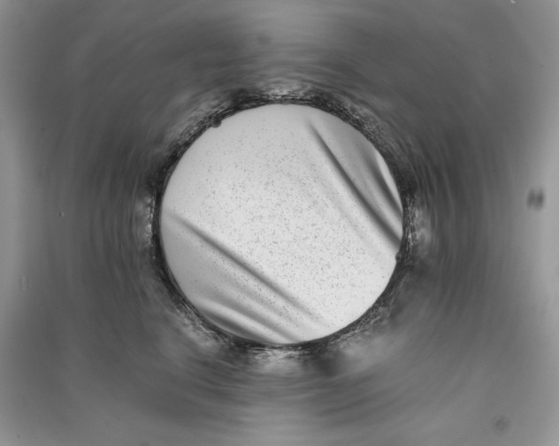 X0000090700664200708101443