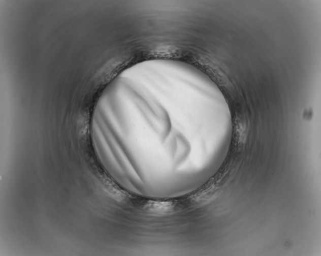 X0000090700665200708101443