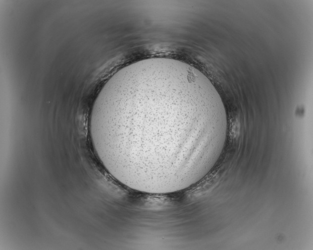 X0000090700666200708101443