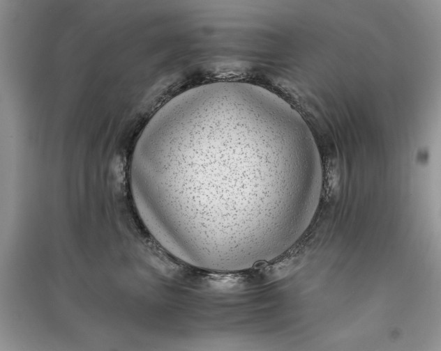 X0000090700667200708101443