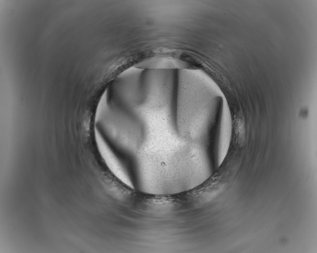 X0000090700668200708101443