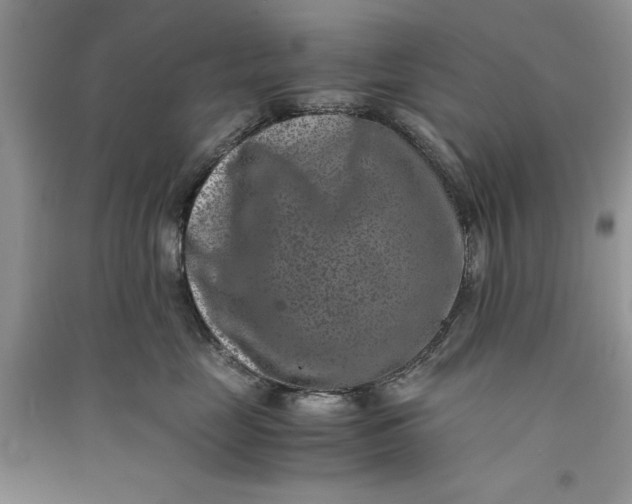 X0000090700669200708101443