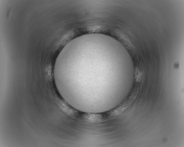 X0000090700670200708101443