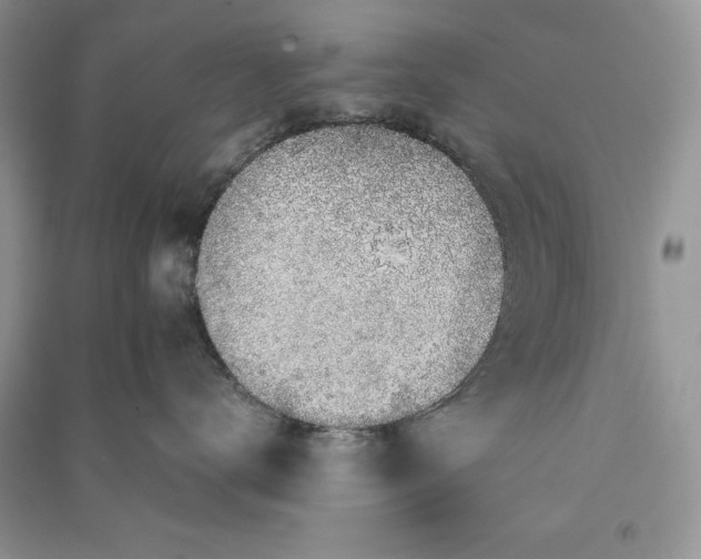 X0000090700672200708101443