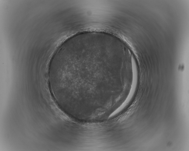 X0000090700673200708101442