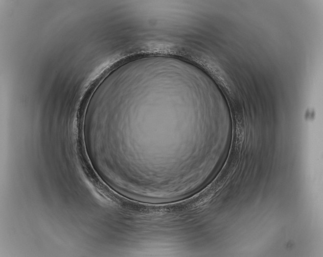 X0000090700674200708101442