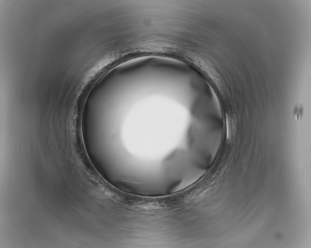 X0000090700675200708101442