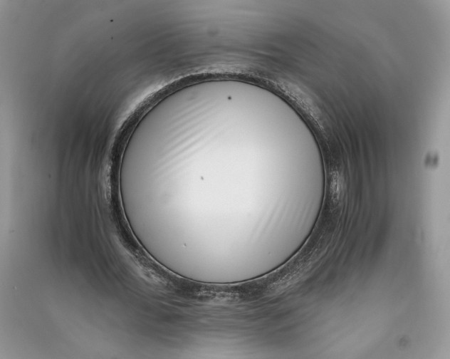 X0000090700676200708101442