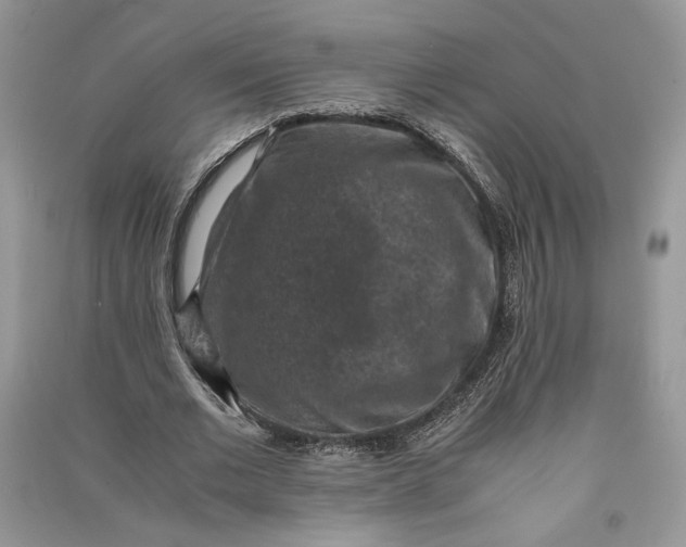 X0000090700677200708101442