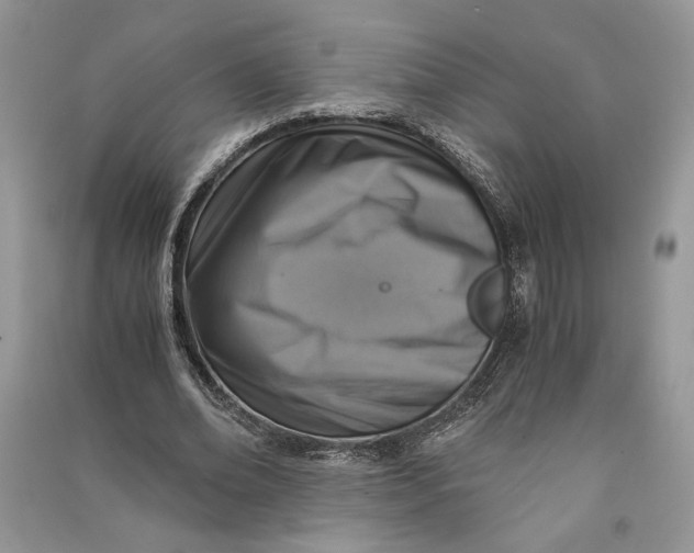 X0000090700678200708101442